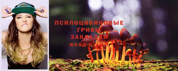 прущий лед Липки