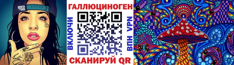 Галлюциногенные грибы Psilocybe  Купить закладки  Черняховск 